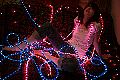 lili-lumieres-001.jpg
