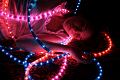 lili-lumieres-020.jpg