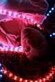 lili-lumieres-028.jpg