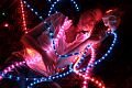 lili-lumieres-032.jpg