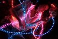 lili-lumieres-034.jpg