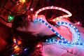lili-lumieres-127.jpg