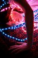 lili-lumieres-154.jpg