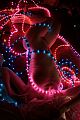 nus-lumieres-07.JPG