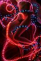 nus-lumieres-09.JPG