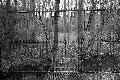 en-vrac-261.jpg