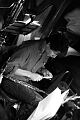 repetitions-concerts-089.jpg