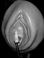 Venus-055.jpg
